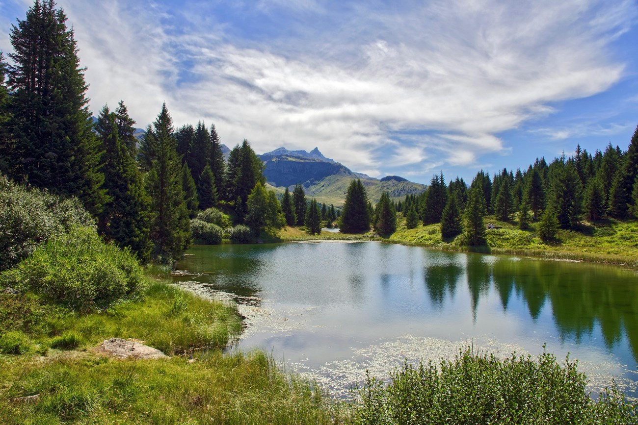 Lac naturel en montagne